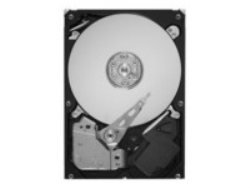 Seagate HARD DISK 2 TB SATA2 